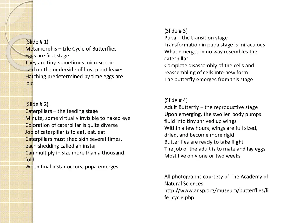 slide 3 pupa the transition stage transformation