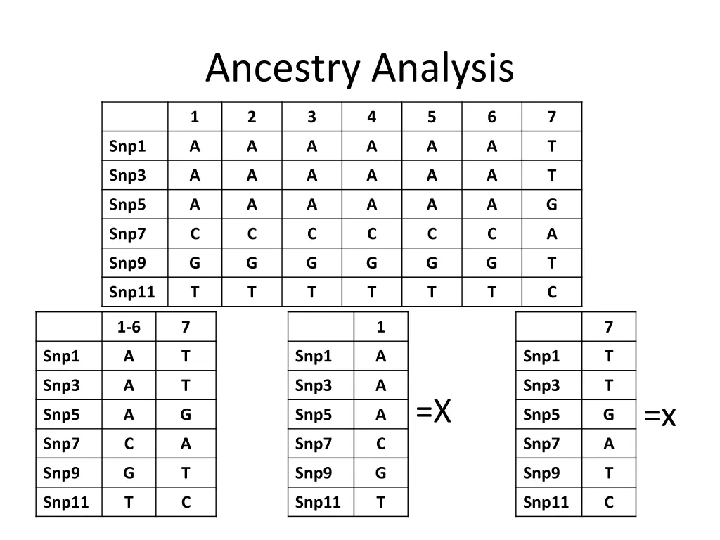 ancestry analysis 3