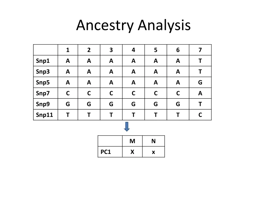 ancestry analysis 4