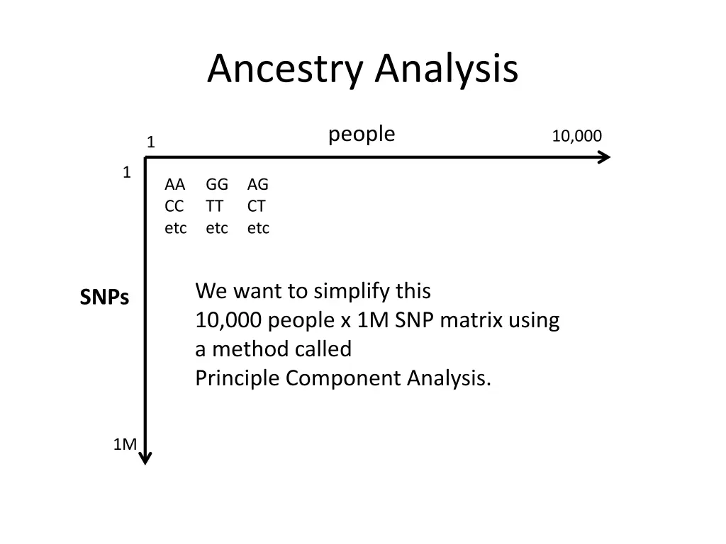 ancestry analysis