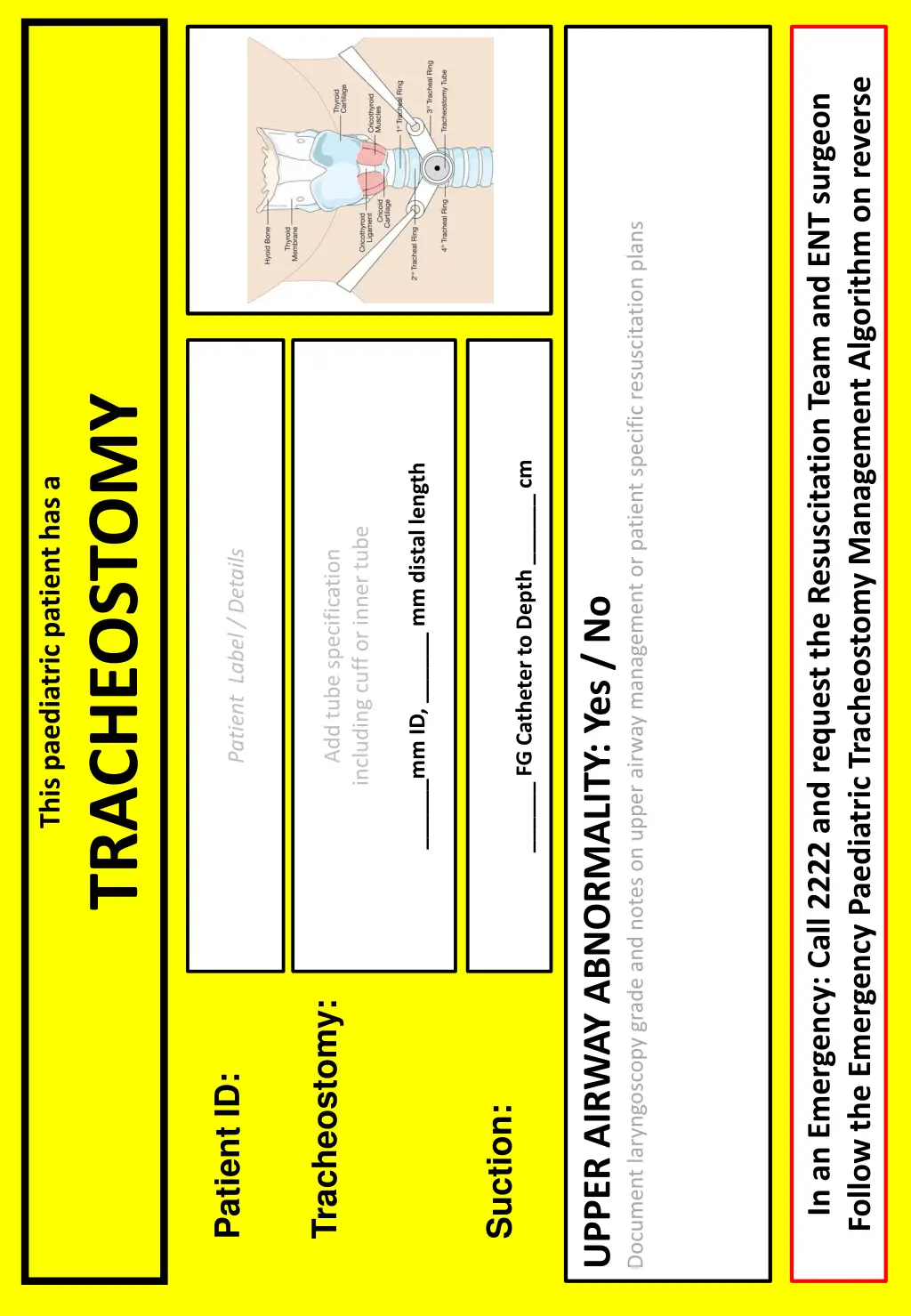 follow the emergency paediatric tracheostomy