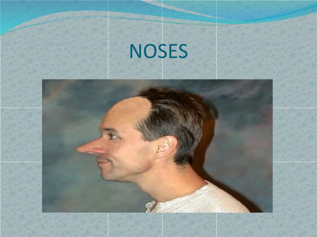 noses