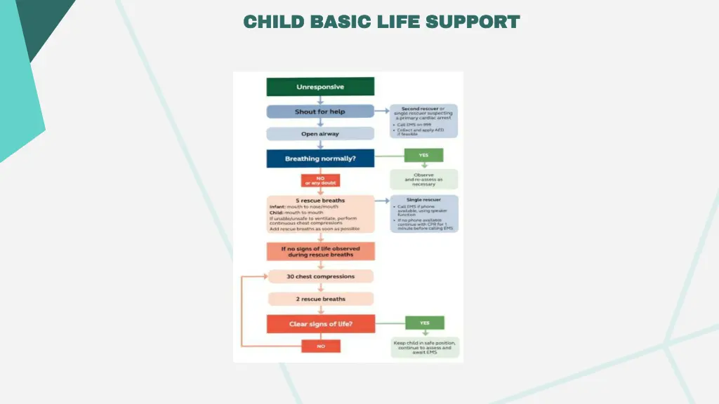 child basic life support child basic life support