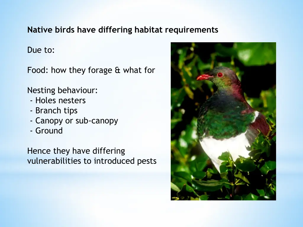 native birds have differing habitat requirements