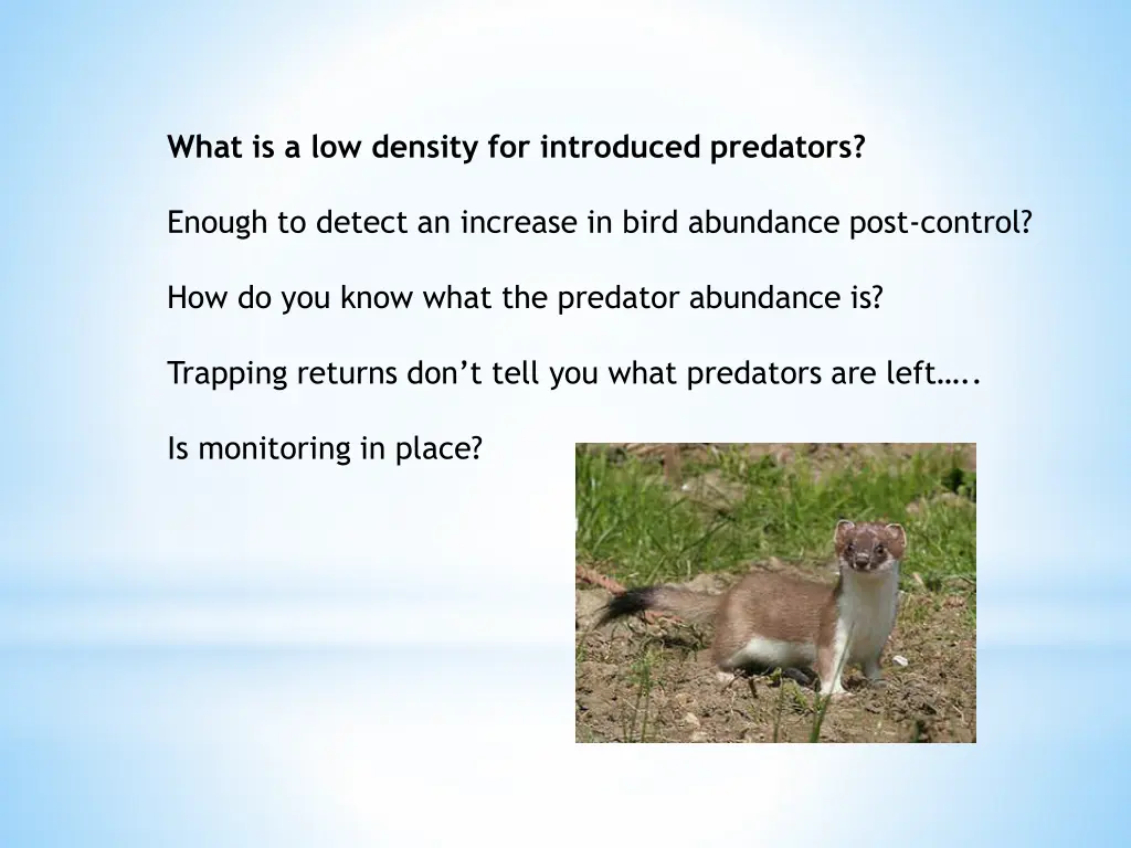 what is a low density for introduced predators