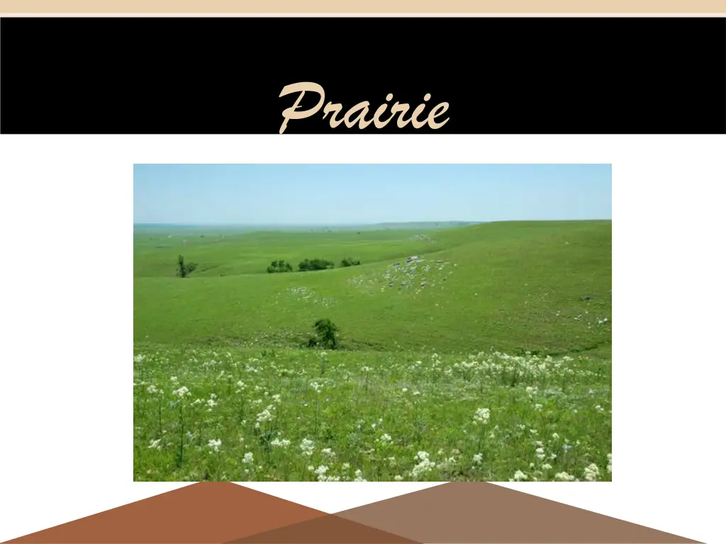 prairie