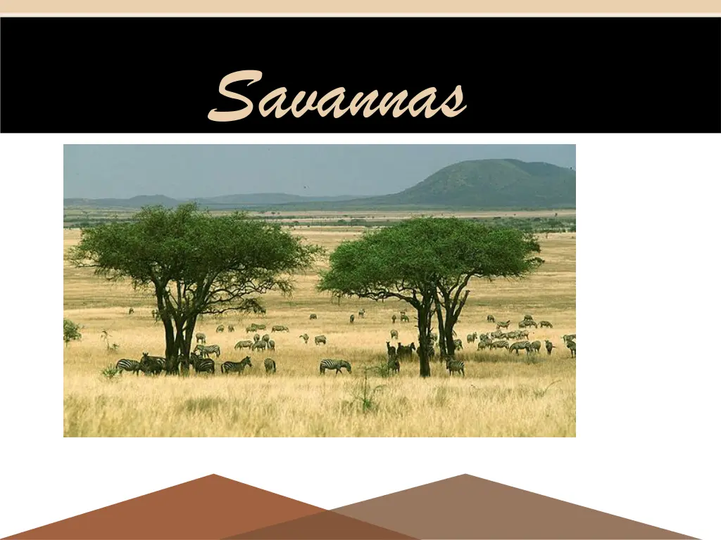 savannas