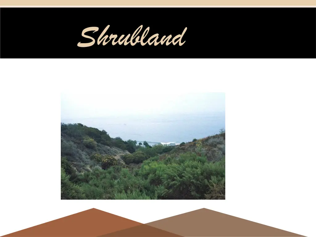 shrubland