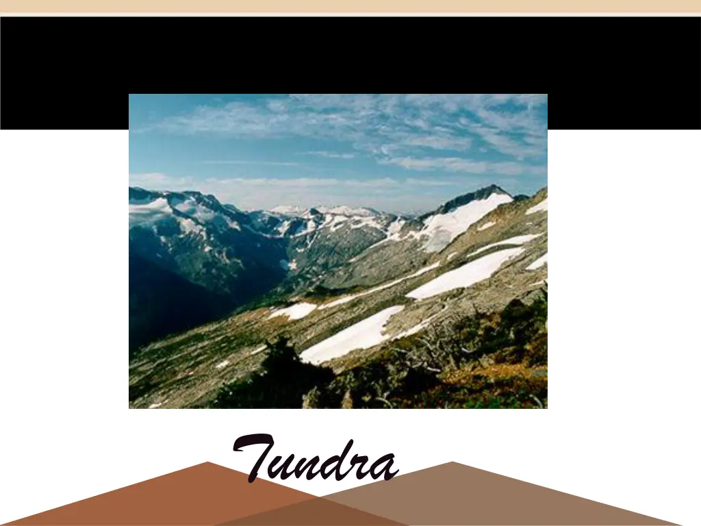 tundra