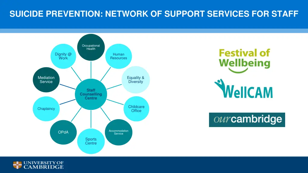 suicide prevention network of support services