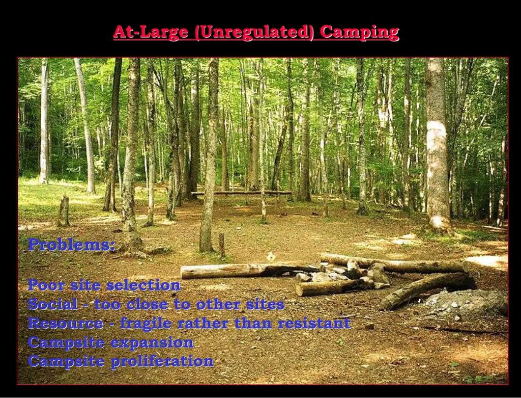 at large unregulated camping