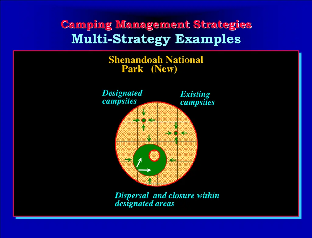 camping management strategies multi strategy