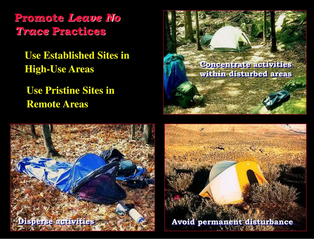 promote leave no trace practices