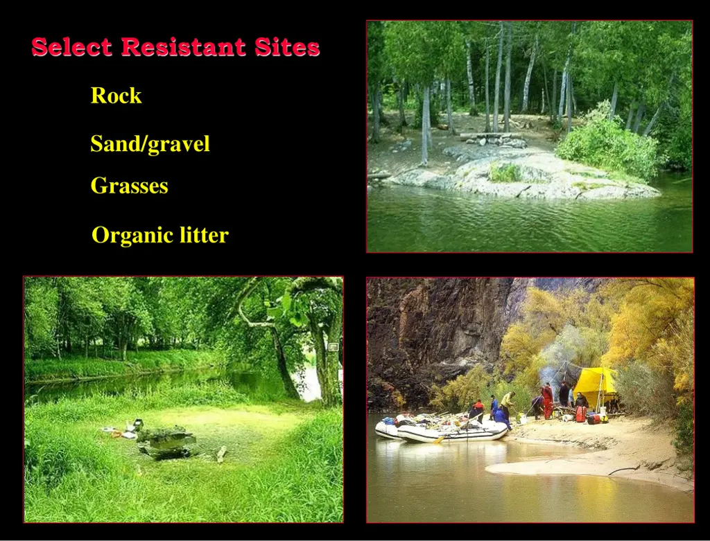 select resistant sites