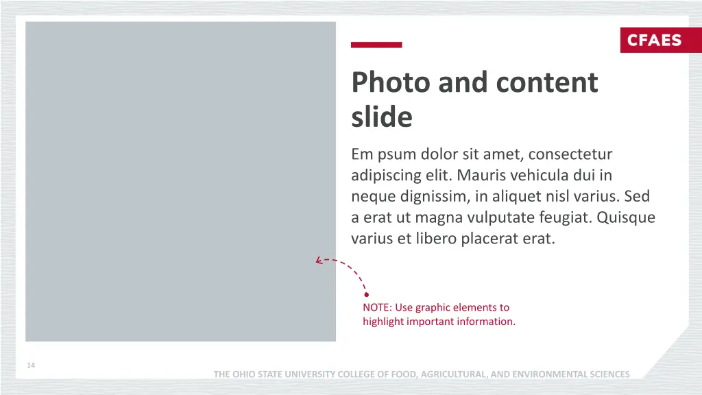 photo and content slide