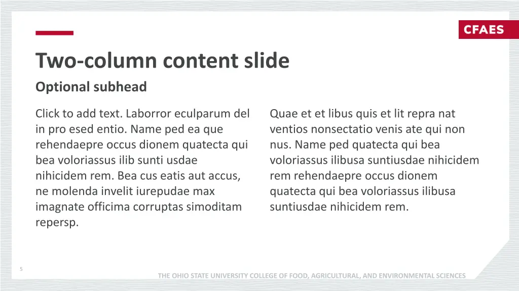 two column content slide optional subhead