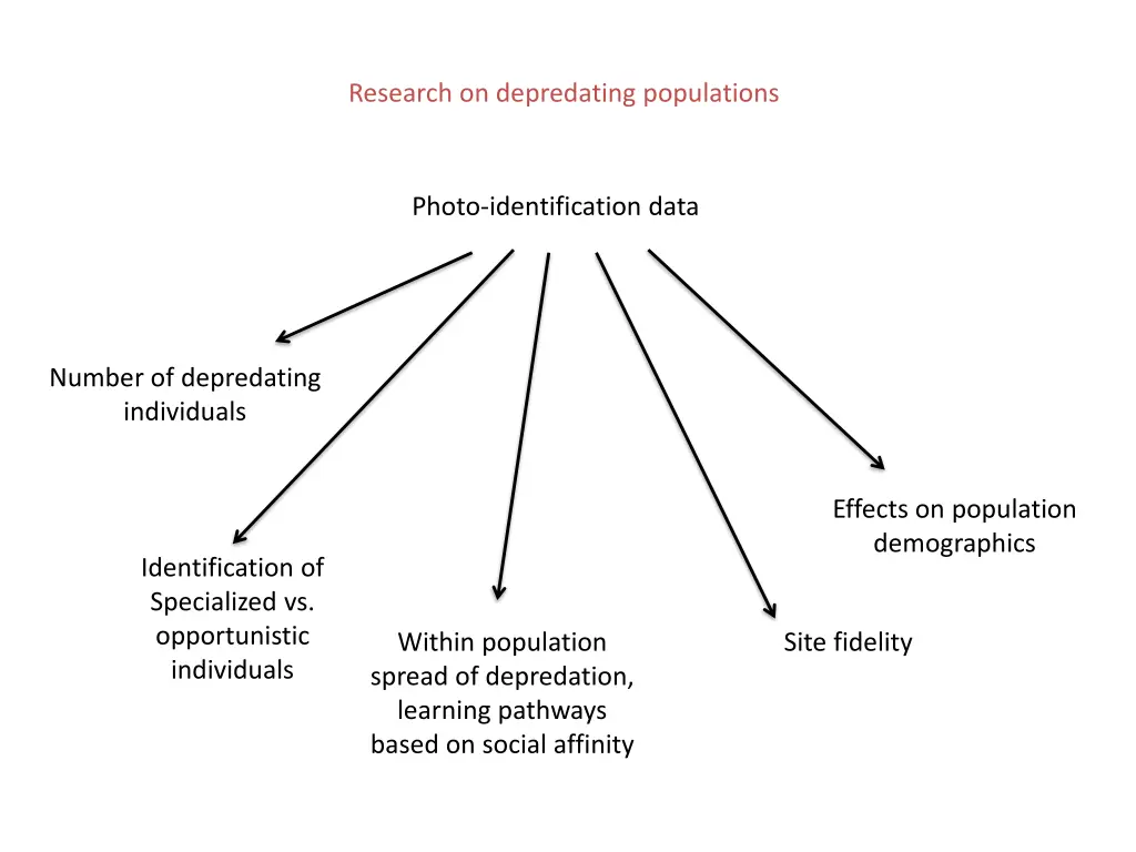 research on depredating populations 1