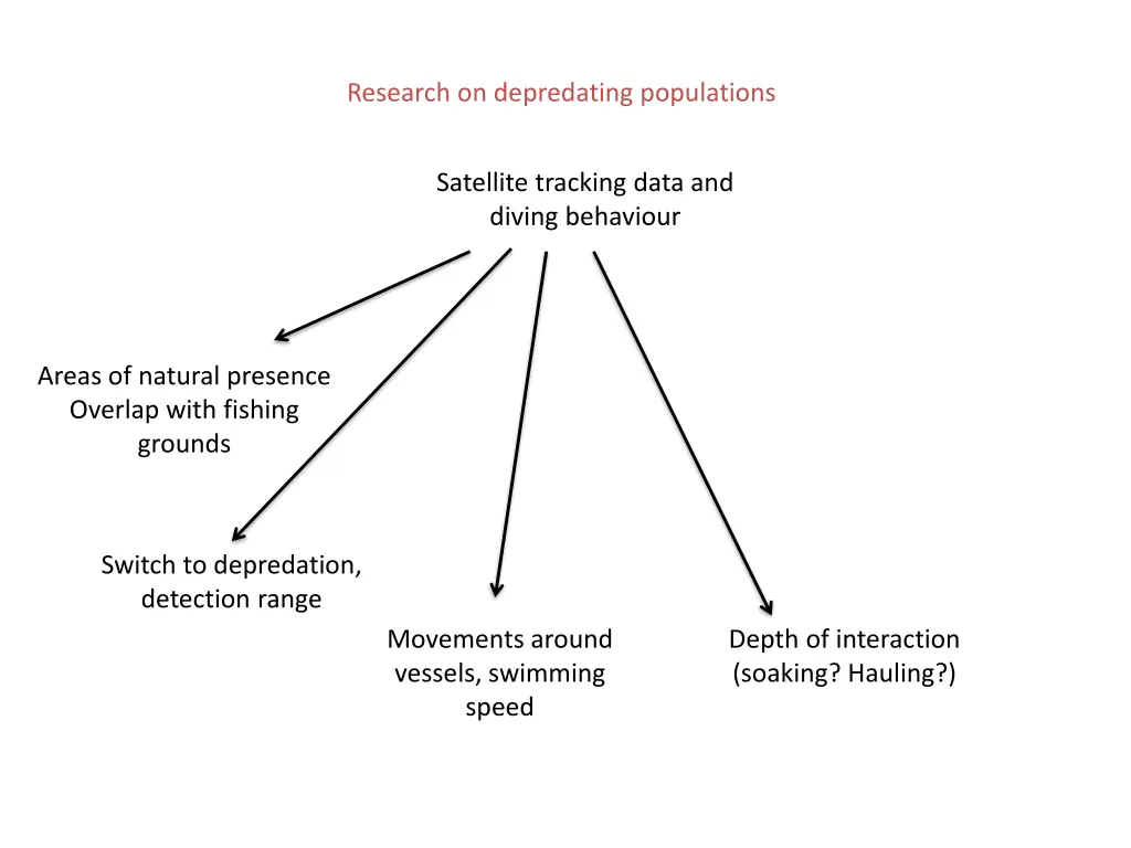 research on depredating populations 2