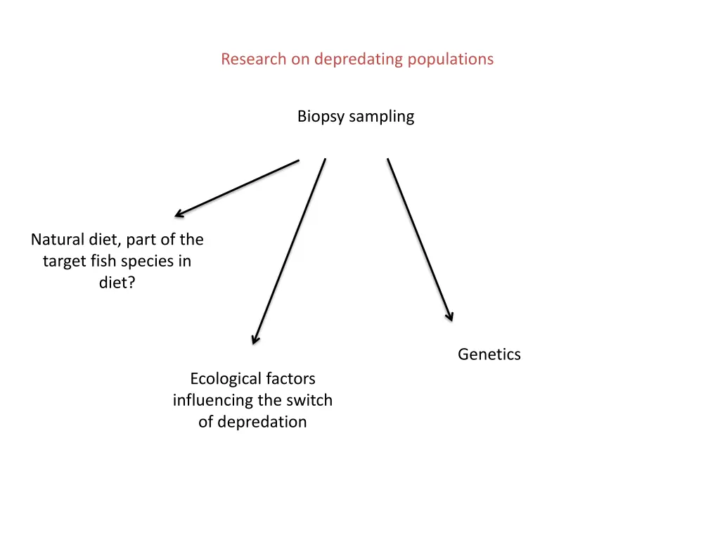 research on depredating populations 3