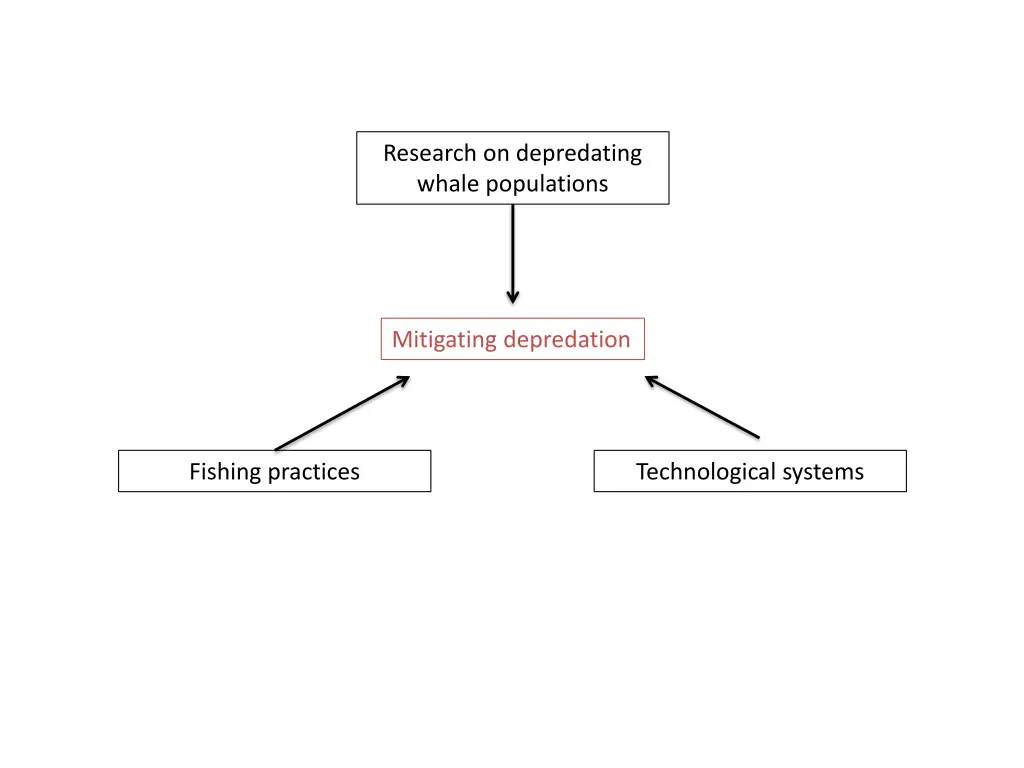 research on depredating whale populations