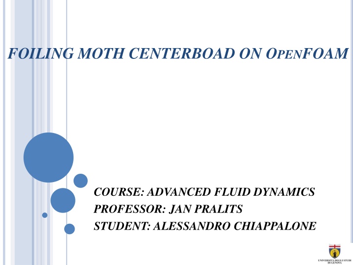 foiling moth centerboad on o pen foam