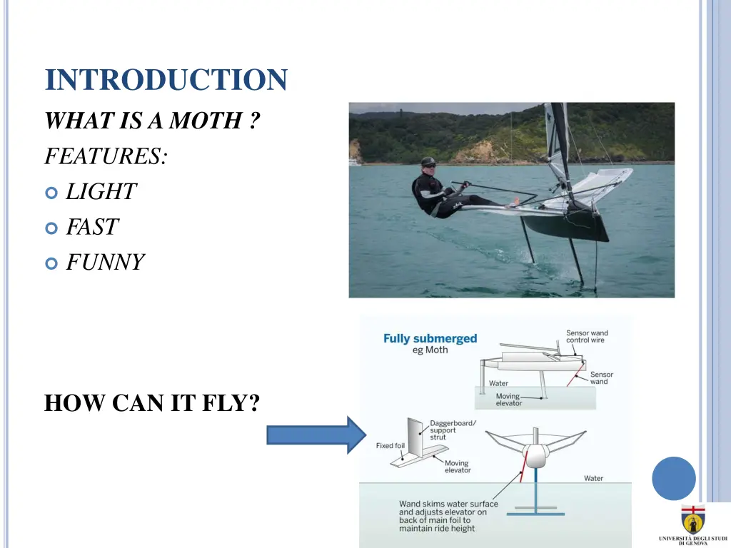 introduction what is a moth features light fast