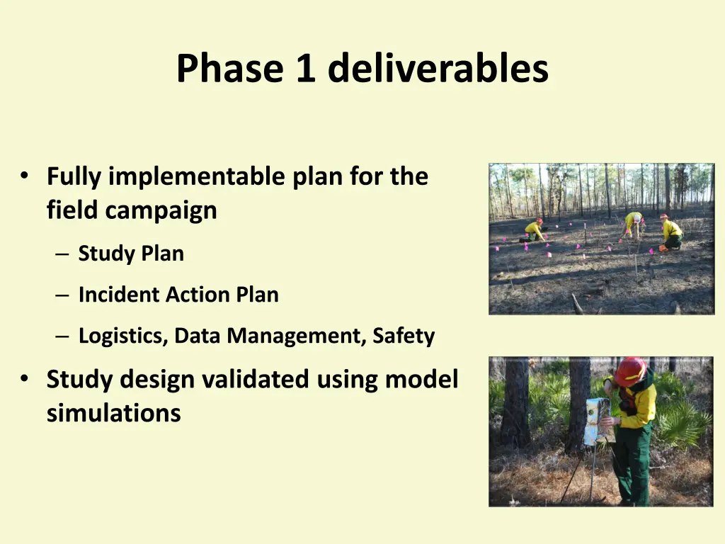 phase 1 deliverables