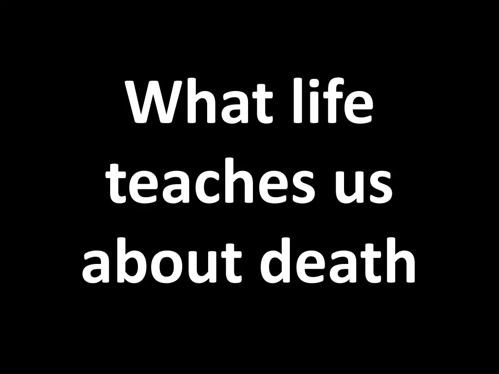 what life teaches us about death