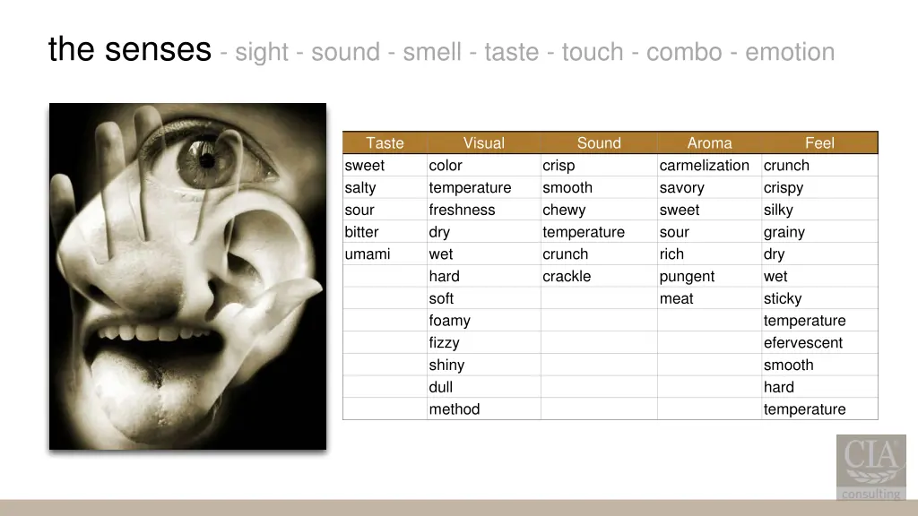 the senses sight sound smell taste touch combo