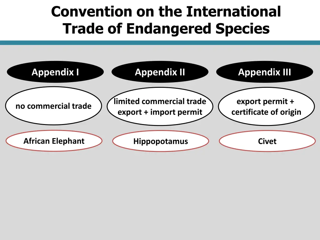 convention on the international trade