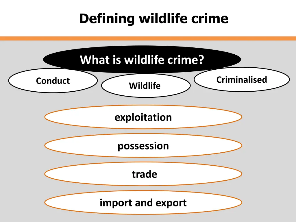 defining wildlife crime