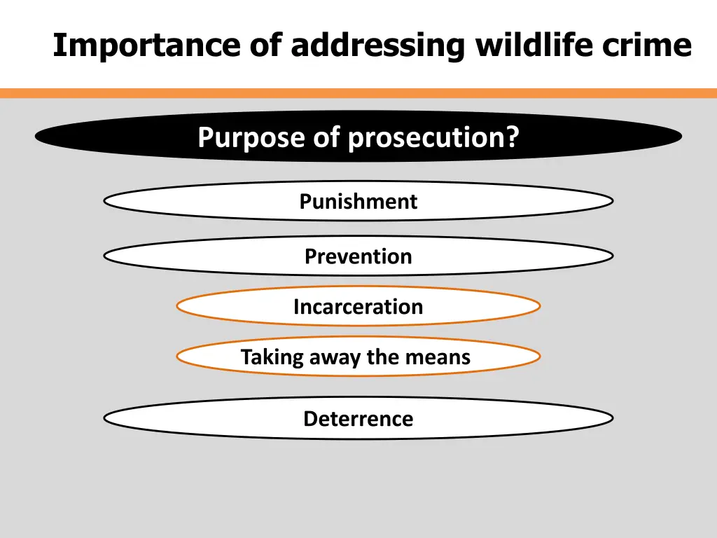 importance of addressing wildlife crime 1