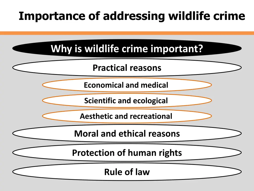 importance of addressing wildlife crime