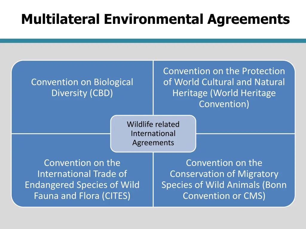 multilateral environmental agreements