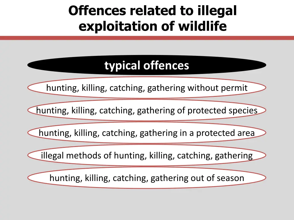 offences related to illegal exploitation