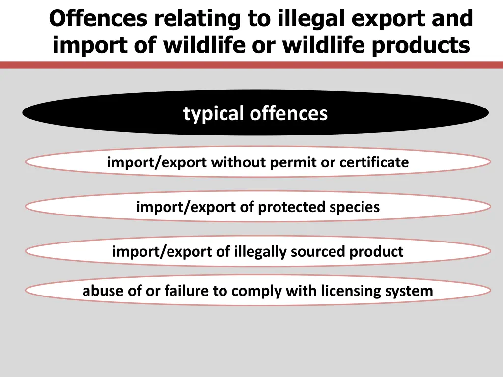 offences relating to illegal export and import