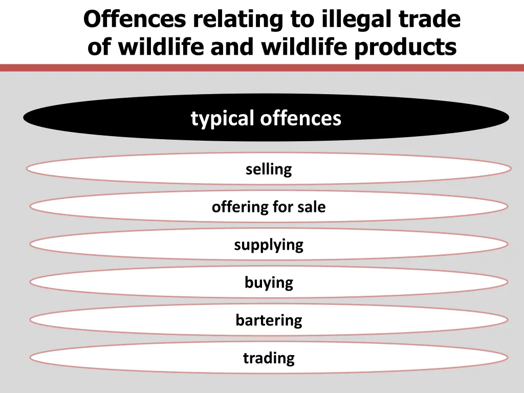 offences relating to illegal trade of wildlife