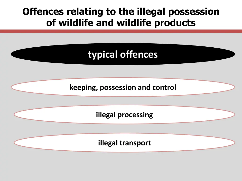 offences relating to the illegal possession