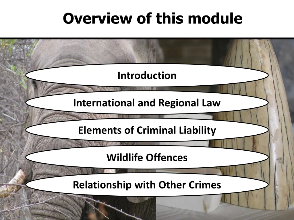 overview of this module 1