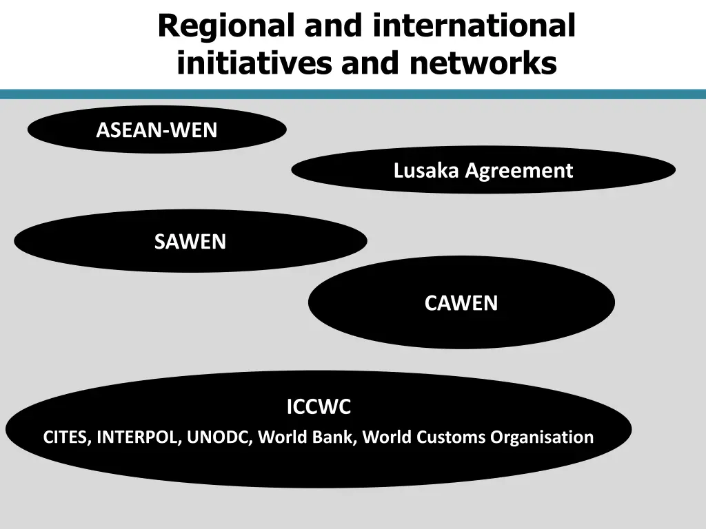 regional and international initiatives