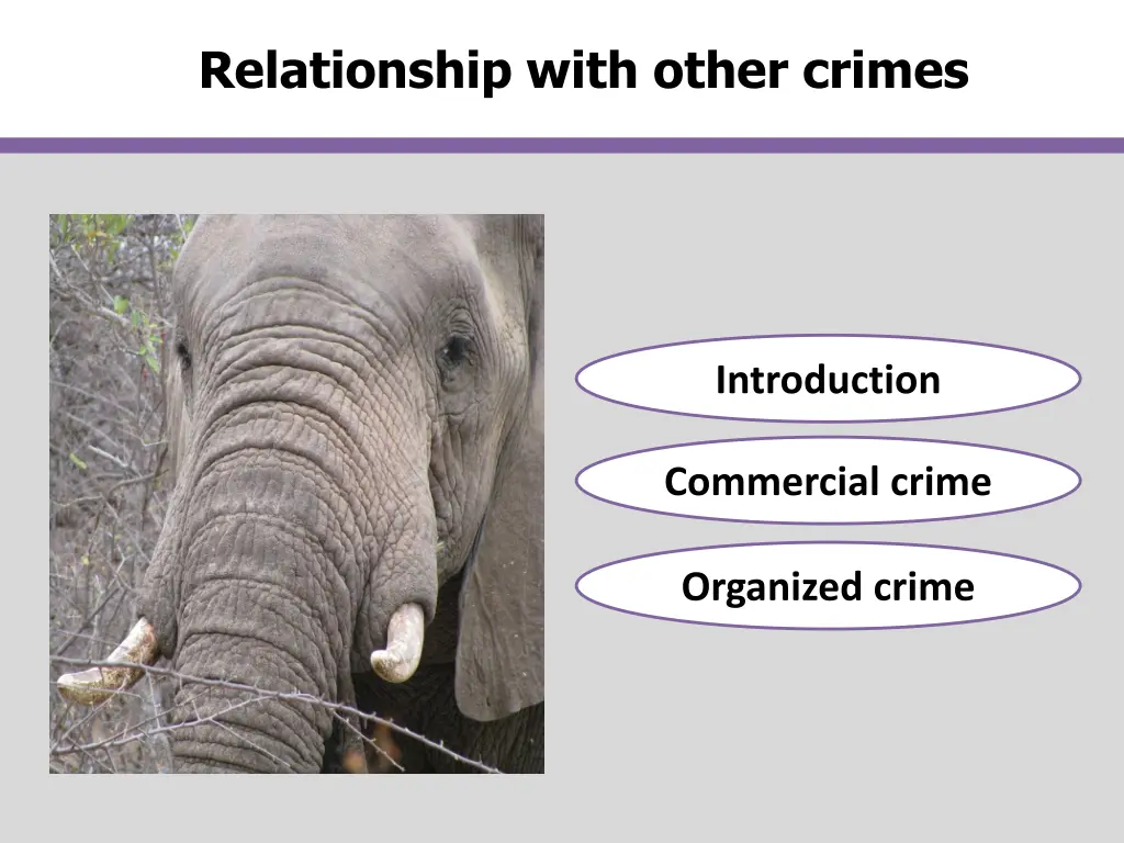 relationship with other crimes