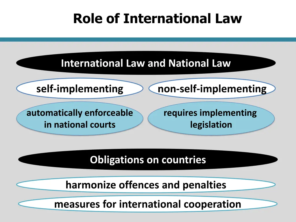 role of international law