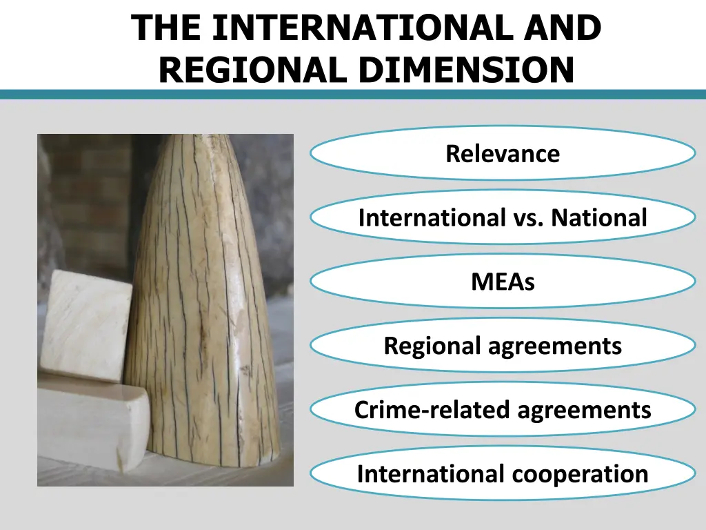 the international and regional dimension