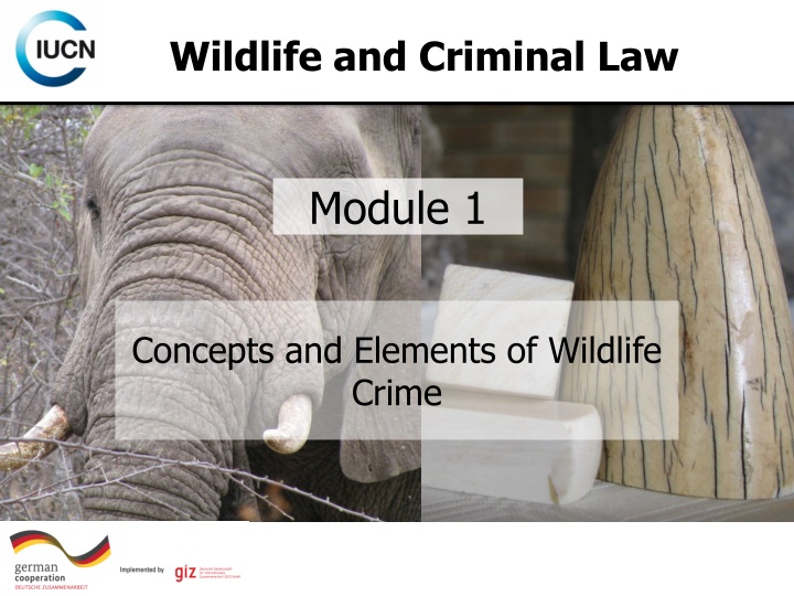 wildlife and criminal law