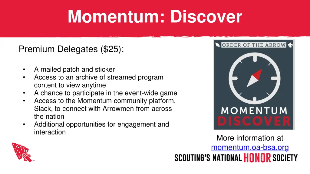 momentum discover