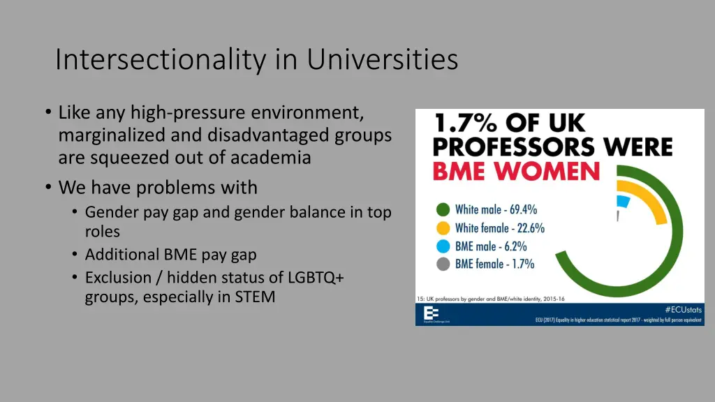 intersectionality in universities