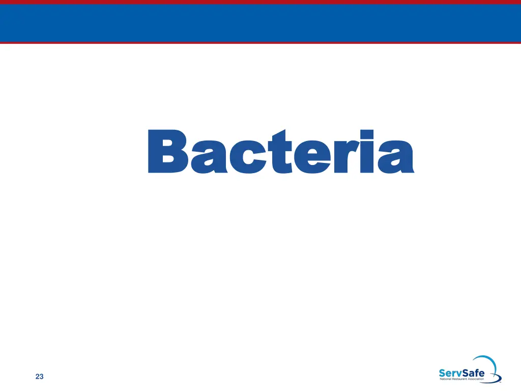 bacteria