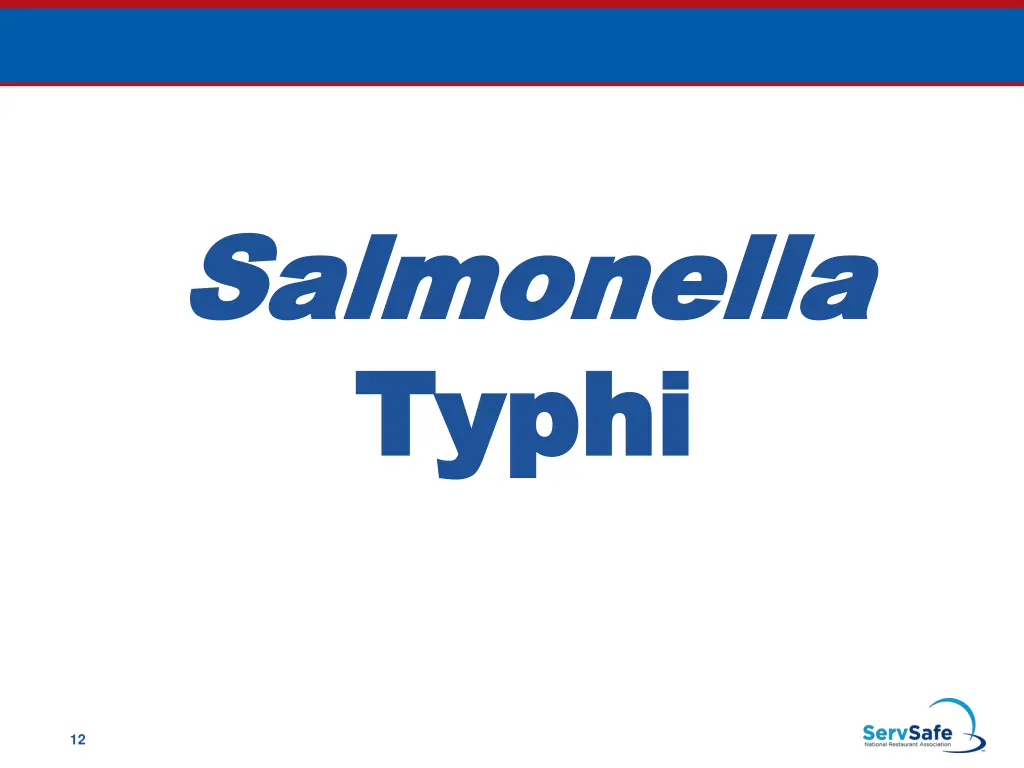 salmonella salmonella typhi typhi