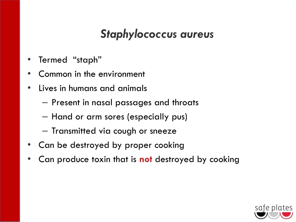 staphylococcus aureus