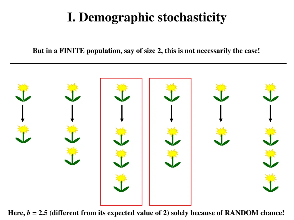 i demographic stochasticity 1